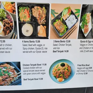 Veggie, chicken, and beef rice dishes