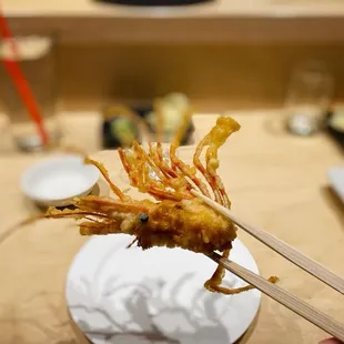 Omakase 4/27/24
