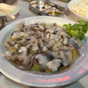 Live Octopus