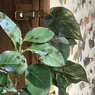 Didn't take long for them to get to work