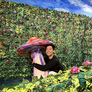 Danji L.