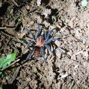 K10 Adventures Costa Rica