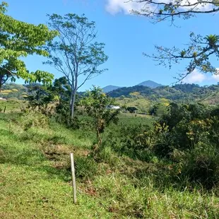 K10 Adventures Costa Rica Horse rides