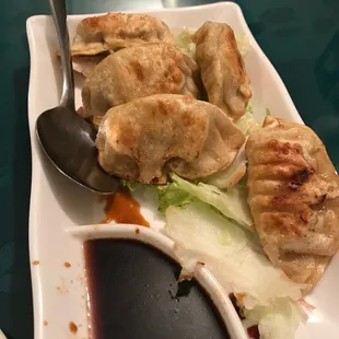 Fired Dumplings are good. Redeemed after the terrible soup.