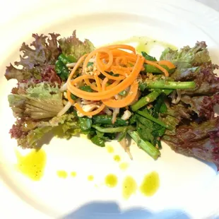 Shredded Spiced Chicken Salad