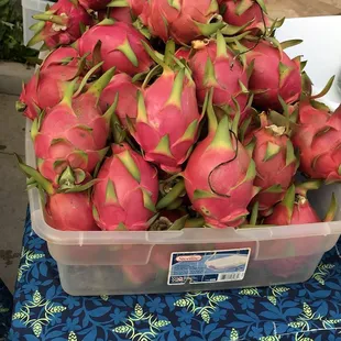 Pitaya, Dragon Fruit