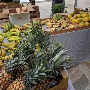 pineapples and bananas