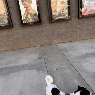 We want to watch Cyrano! 3