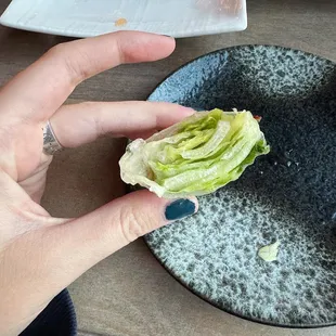 Ka-Ne Fresh Salad Roll