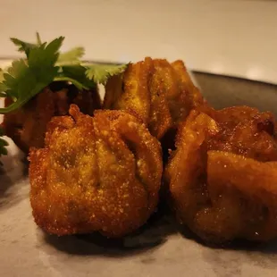Fried Dumplings