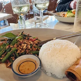 Thai Basil Stir Fry (CH & SH)