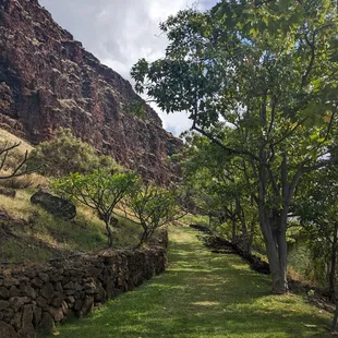 a path in the mountains