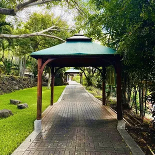 Walking Trails behind