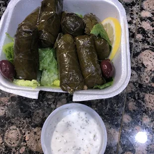 Dolmas (stuffed grape leaves, with side of tzatziki sauce )