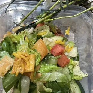 Yo close on the tasty salad!