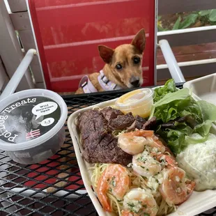 a plate of food and a dog