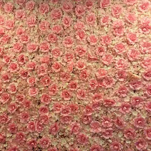 Rose wall