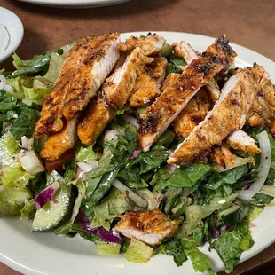 Chicken Shawarma Salad