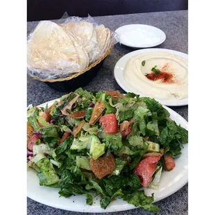 Fattoush, pita bread, garlic paste and hummus
