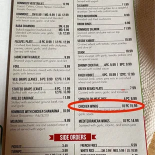 10 Pieces Chicken Wings