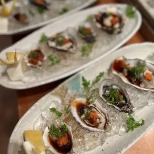 Oyster Sampler