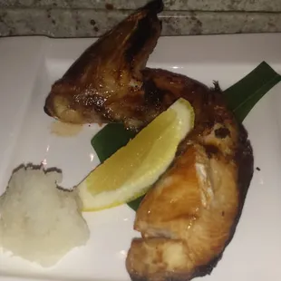 Yellow Tail Belly