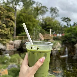Iced matcha latte