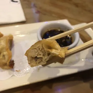 Close up of the yummy gyoza.