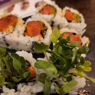 Spicy Tuna rolls