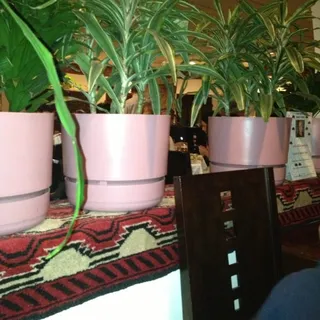 Kabuls Combination Kabab