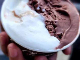 Polar Bear Rolled Ice Cream