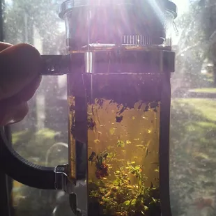 Enhanced by the morning Sunshine, our " Healthy Spirit" botanical blend.