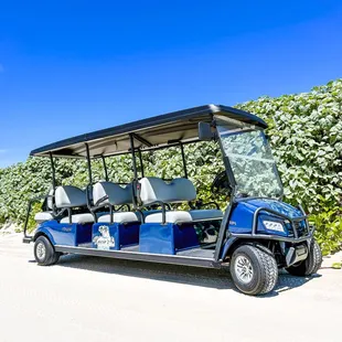 8 Passenger Golf Cart