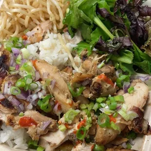 Special chicken plate ($14 before tax). Comes w/ white rice, bean sprouts, &amp; spring mix. Mine was medium spicy topped with green/res onions