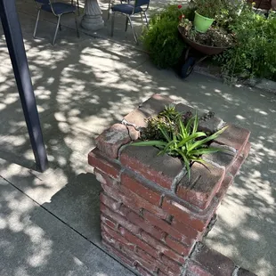 Outside eating