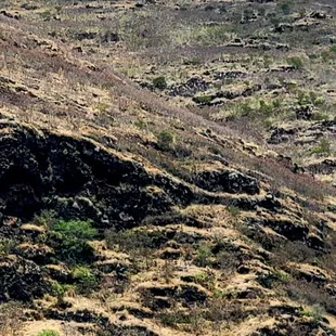 Curious white dome at the mountaintop (08/27/24). #KaenaPointStatePark #Waianae #Hawaii #KaenaPoint #StatePark