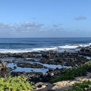 Tide pool