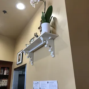 This appears to me to be a Christian faith based establishment. (Look close at the items on the shelf.)