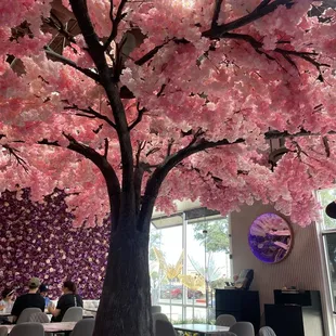 Cherry blossom tree