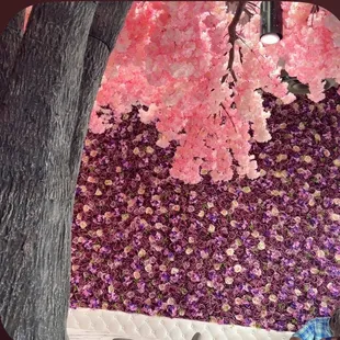 The walls and cherry blossom tree