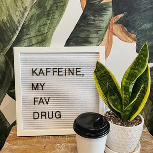 outside, burritos and wraps