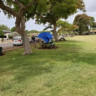There are picnic tables scattered around the Kahala Community Park.
