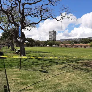 This is what the Kahala Community Park looks like during the day time. You can see a few picnic tables by the trees.