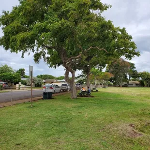 There are picnic tables scattered around the Kahala Community Park.