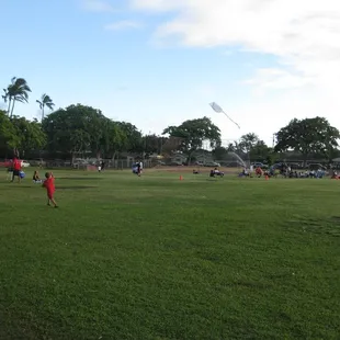 flying a kite in the park