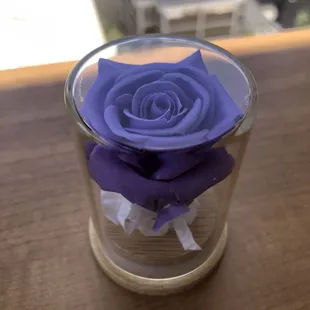 a purple rose in a clear vase