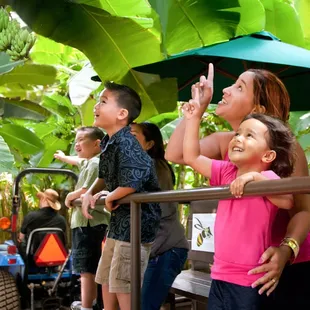 sushi and sashimi, outside