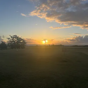 Paradise