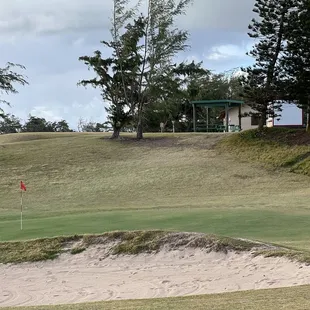 9th green