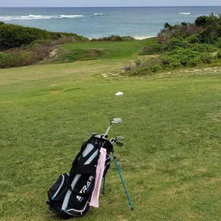 Ocean views